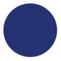 Bluehaus Group - logo